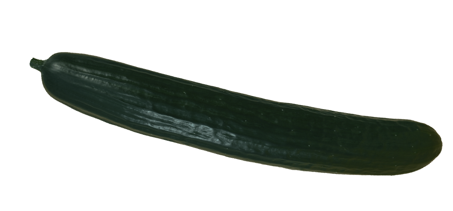 Image Not Found